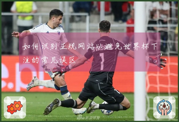 如何识别正规网站以避免世界杯下注的常见误区