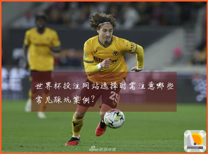 世界杯投注网站选择时需注意哪些常见踩坑案例？