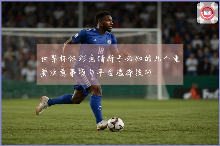 世界杯体彩竞猜新手必知的几个重要注意事项与平台选择技巧