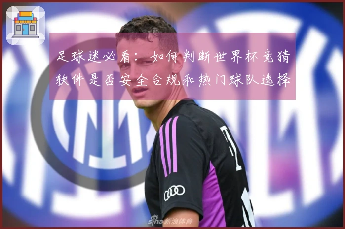 足球迷必看：如何判断世界杯竞猜软件是否安全合规和热门球队选择指南
