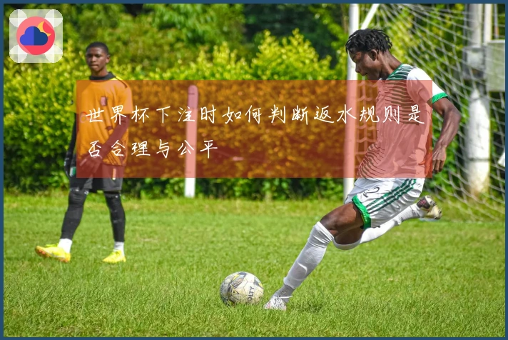 世界杯下注时如何判断返水规则是否合理与公平