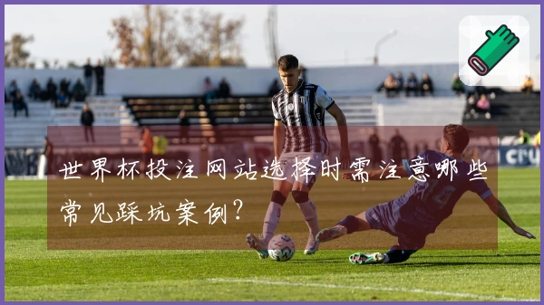 世界杯投注网站选择时需注意哪些常见踩坑案例？
