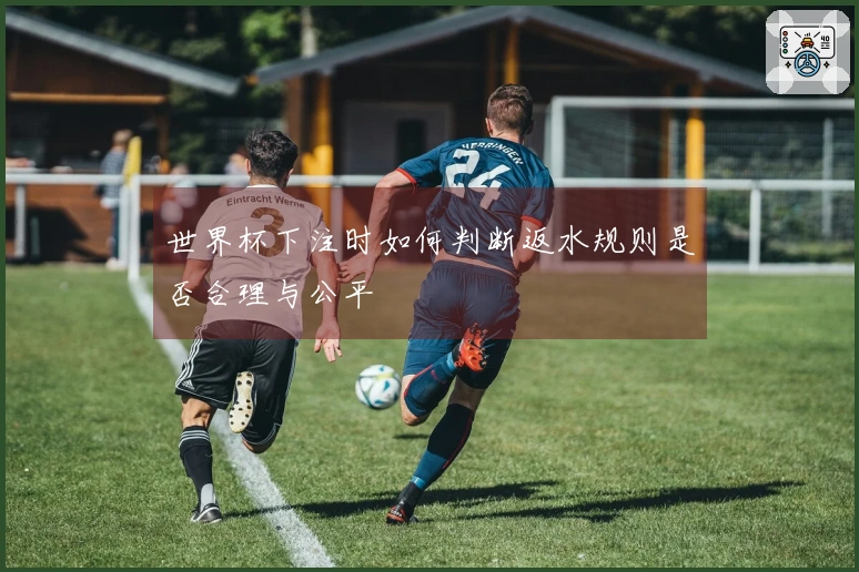 世界杯下注时如何判断返水规则是否合理与公平