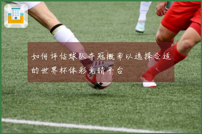 如何评估球队夺冠概率以选择合适的世界杯体彩竞猜平台