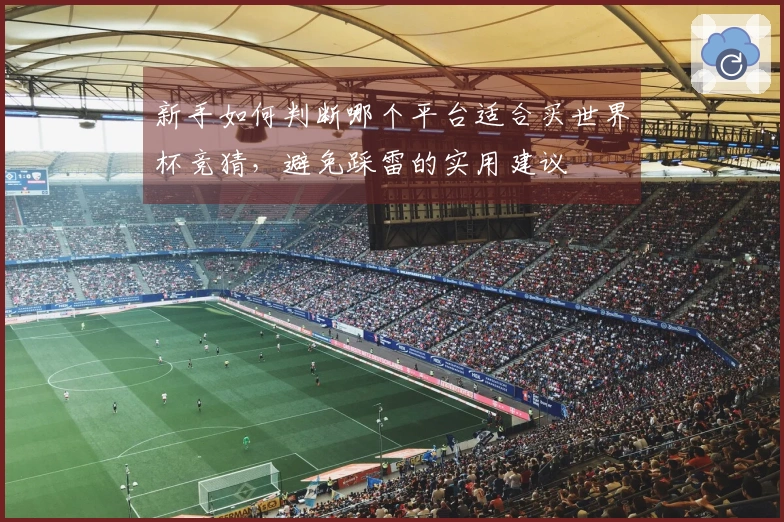 新手如何判断哪个平台适合买世界杯竞猜，避免踩雷的实用建议