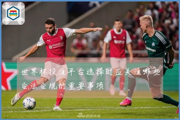 世界杯投注平台选择时应关注哪些合法合规的重要事项