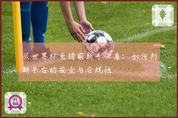 买世界杯竞猜前新手必看：如何判断平台的安全与合规性