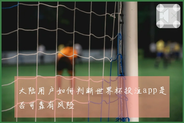 大陆用户如何判断世界杯投注app是否可靠有风险