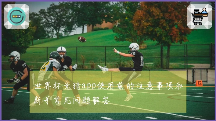 世界杯竞猜app使用前的注意事项和新手常见问题解答