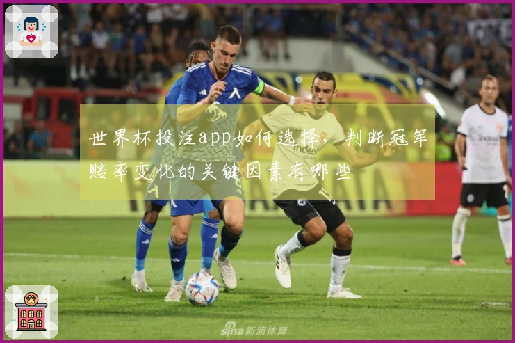 世界杯投注app如何选择，判断冠军赔率变化的关键因素有哪些