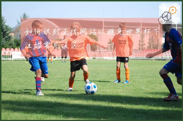 如何识别正规网站以避免世界杯下注的常见误区