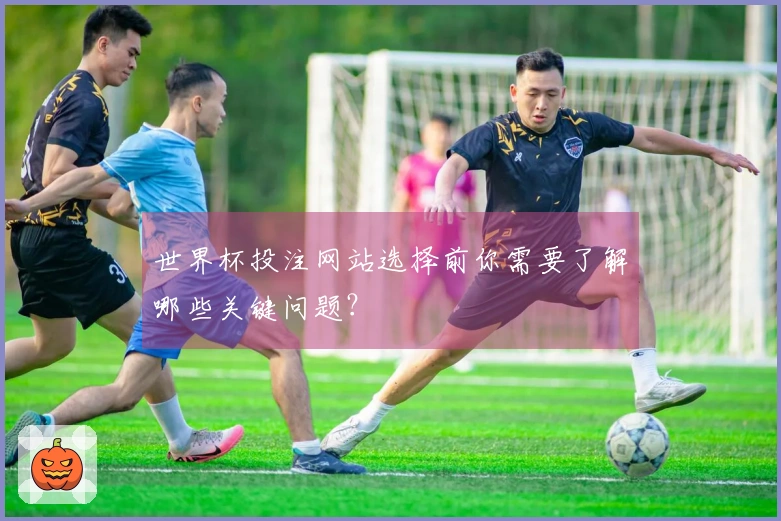 世界杯投注网站选择前你需要了解哪些关键问题？