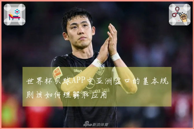 世界杯买球APP中亚洲盘口的基本规则该如何理解和应用