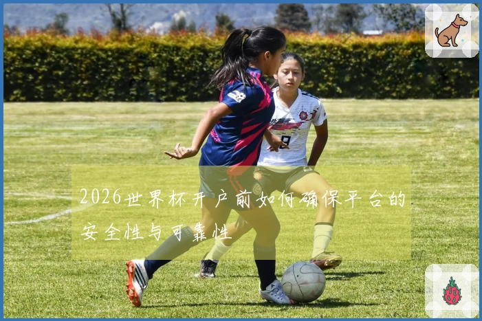 2026世界杯开户前如何确保平台的安全性与可靠性
