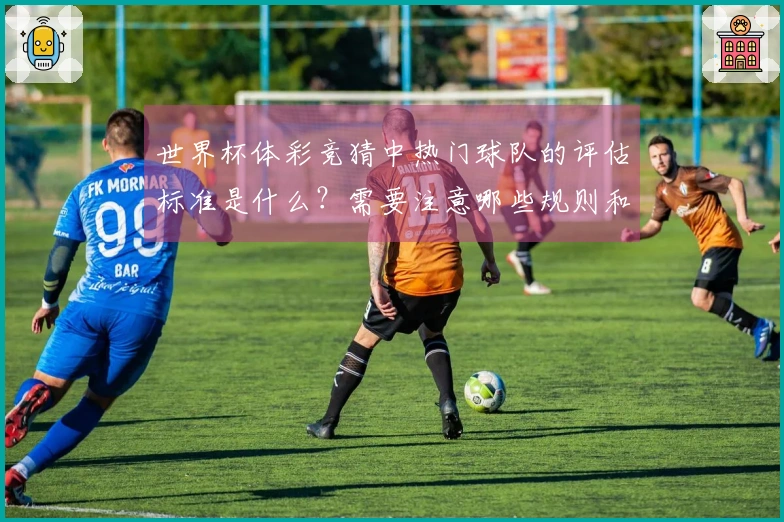 世界杯体彩竞猜中热门球队的评估标准是什么？需要注意哪些规则和流程？