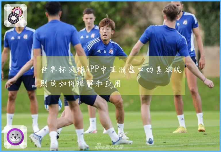 世界杯买球APP中亚洲盘口的基本规则该如何理解和应用