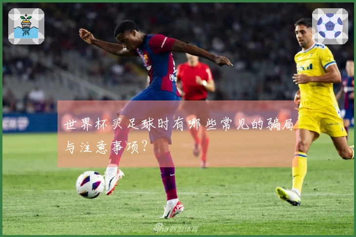 世界杯买足球时有哪些常见的骗局与注意事项？