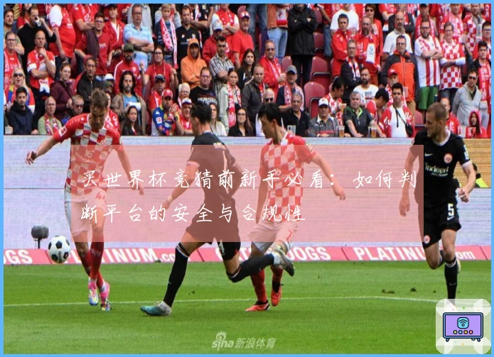 买世界杯竞猜前新手必看：如何判断平台的安全与合规性