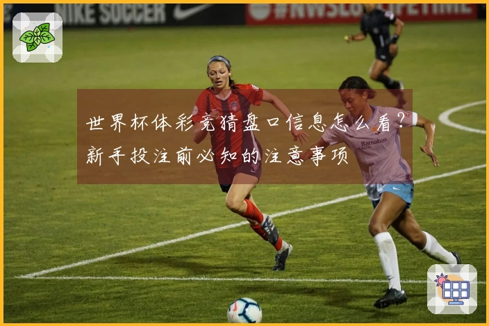世界杯体彩竞猜盘口信息怎么看？新手投注前必知的注意事项