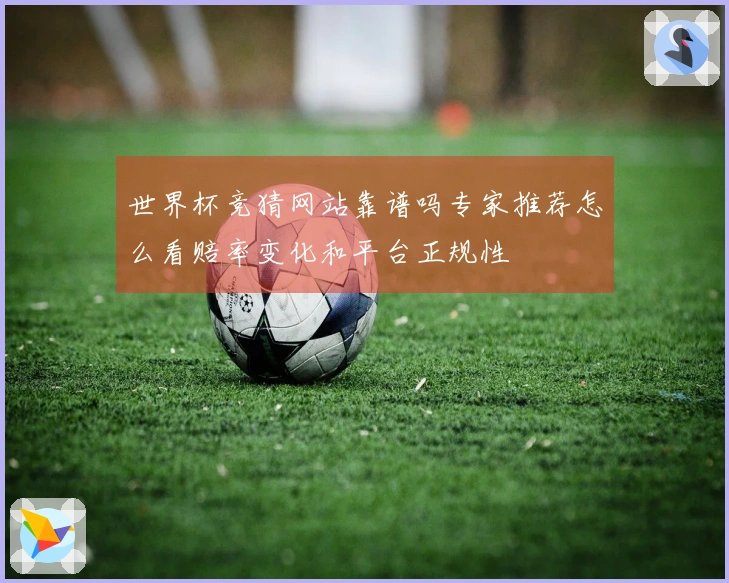 世界杯竞猜网站靠谱吗专家推荐怎么看赔率变化和平台正规性