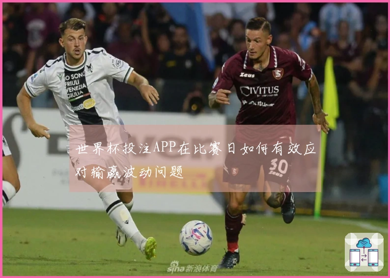 世界杯投注APP在比赛日如何有效应对输赢波动问题
