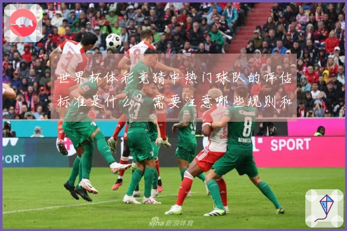 世界杯体彩竞猜中热门球队的评估标准是什么？需要注意哪些规则和流程？