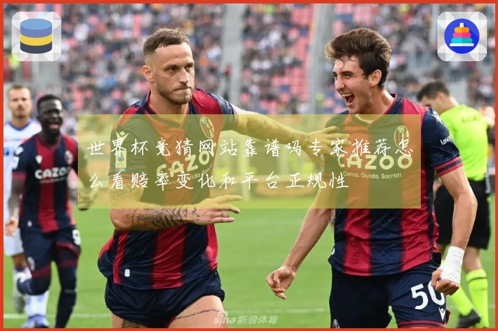 世界杯竞猜网站靠谱吗专家推荐怎么看赔率变化和平台正规性