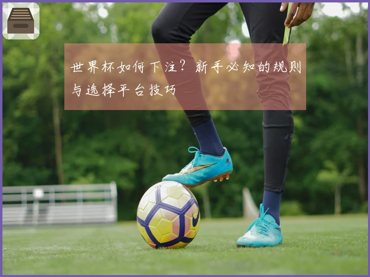 世界杯如何下注？新手必知的规则与选择平台技巧