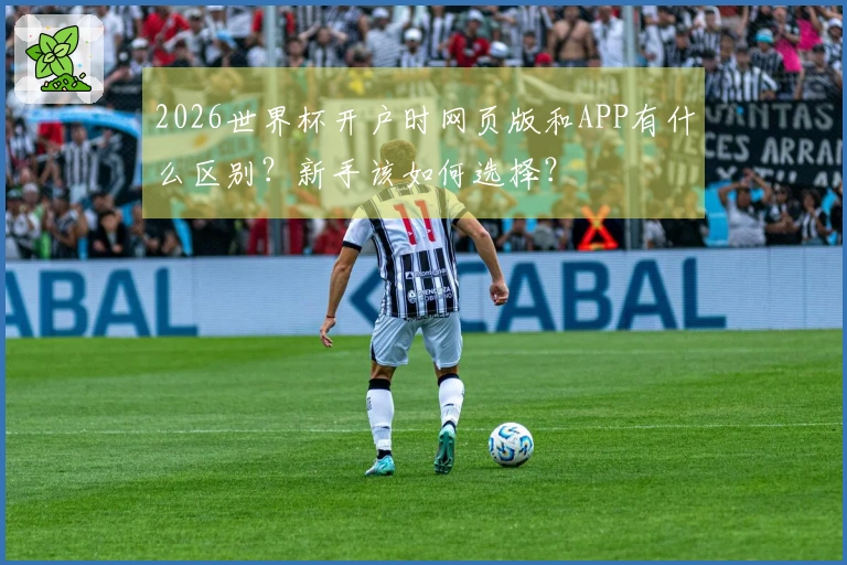 2026世界杯开户时网页版和APP有什么区别？新手该如何选择？