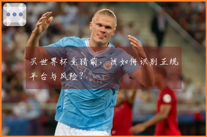 买世界杯竞猜前，该如何识别正规平台与风险？