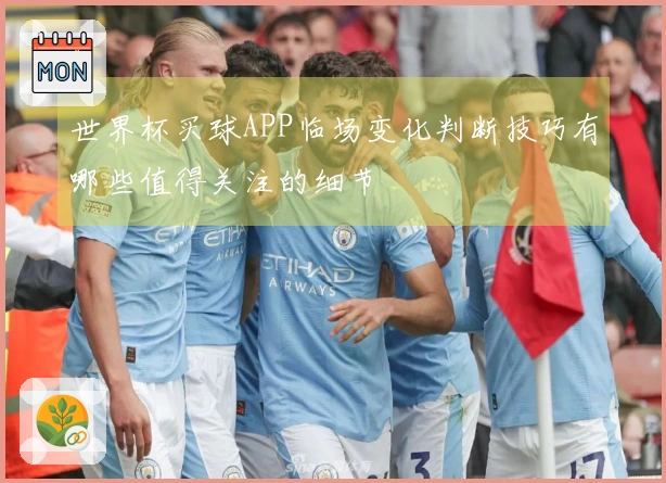 世界杯买球APP临场变化判断技巧有哪些值得关注的细节