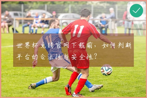 世界杯竞猜官网下载前，如何判断平台的合法性与安全性？