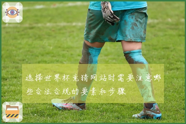 选择世界杯竞猜网站时需要注意哪些合法合规的要素和步骤