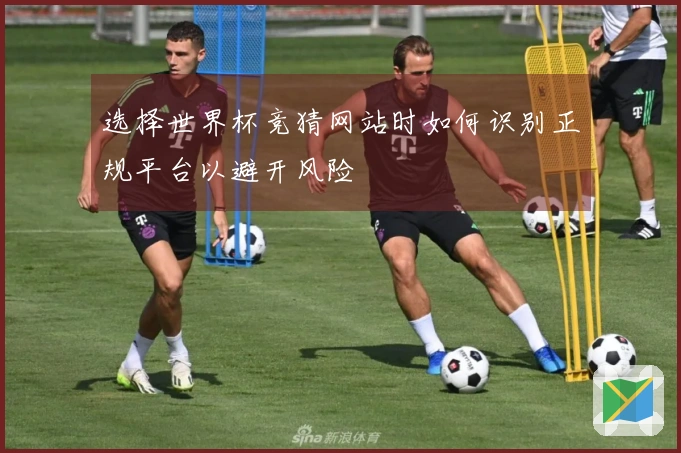 选择世界杯竞猜网站时如何识别正规平台以避开风险